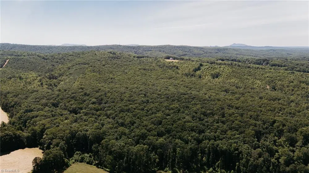 xx 44.93 Acres Stardust Trail Mount Airy, NC 27030
