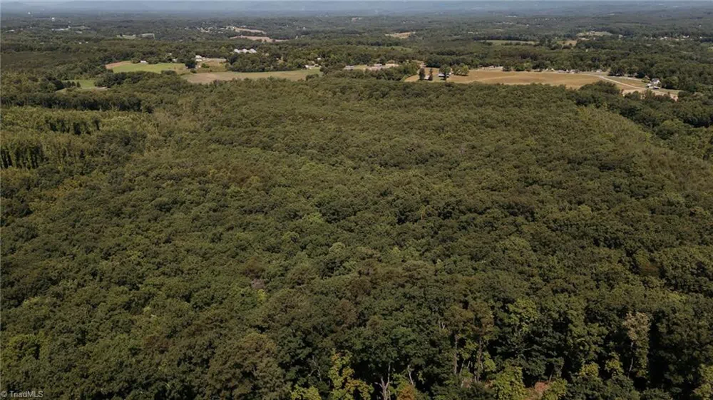 xx 44.93 Acres Stardust Trail Mount Airy, NC 27030