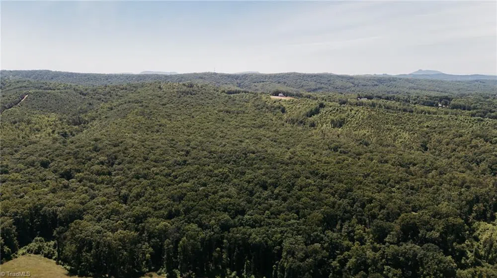 xx 44.93 Acres Stardust Trail Mount Airy, NC 27030