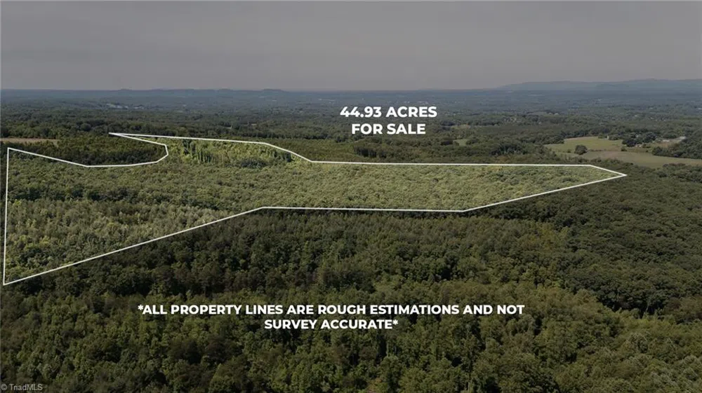 xx 44.93 Acres Stardust Trail Mount Airy, NC 27030