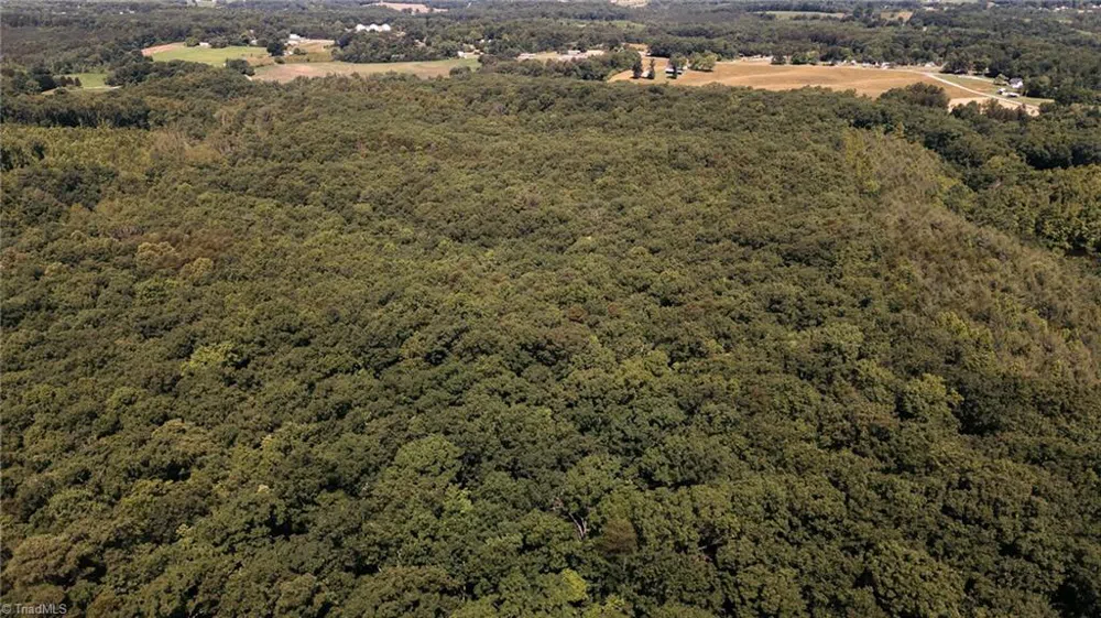 xx 44.93 Acres Stardust Trail Mount Airy, NC 27030