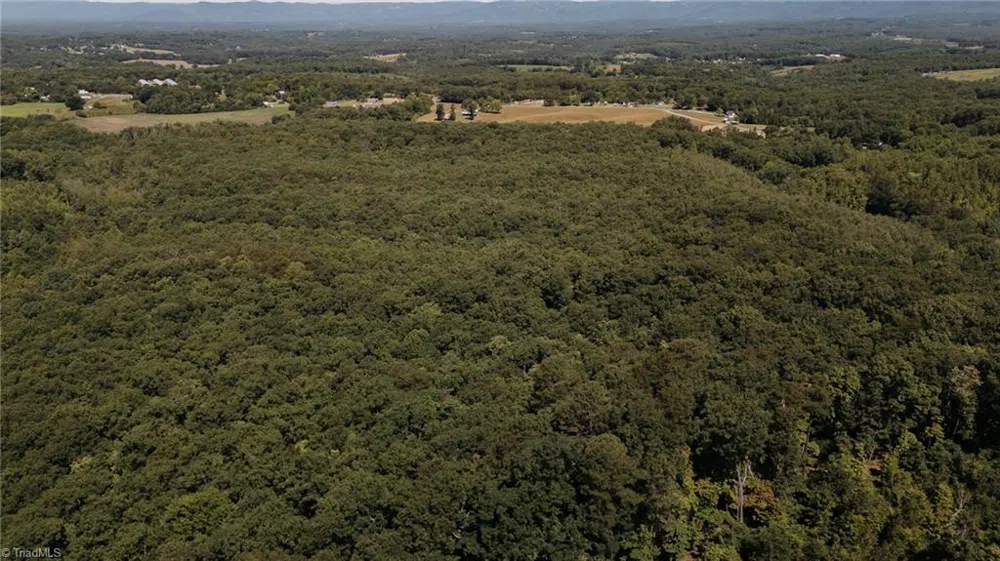 xx 44.93 Acres Stardust Trail Mount Airy, NC 27030