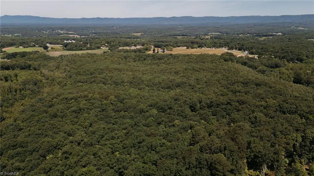 xx 44.93 Acres Stardust Trail Mount Airy, NC 27030