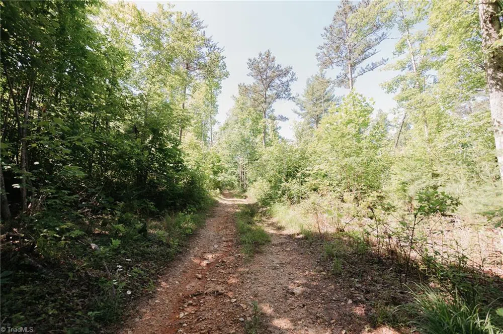 xx 44.93 Acres Stardust Trail Mount Airy, NC 27030
