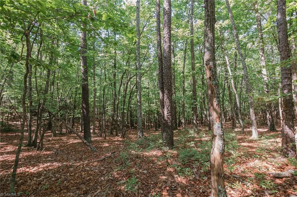 xx 44.93 Acres Stardust Trail Mount Airy, NC 27030