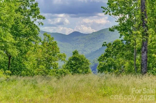 Lot 69 Whisper Mountain Drive Leicester, NC 28748