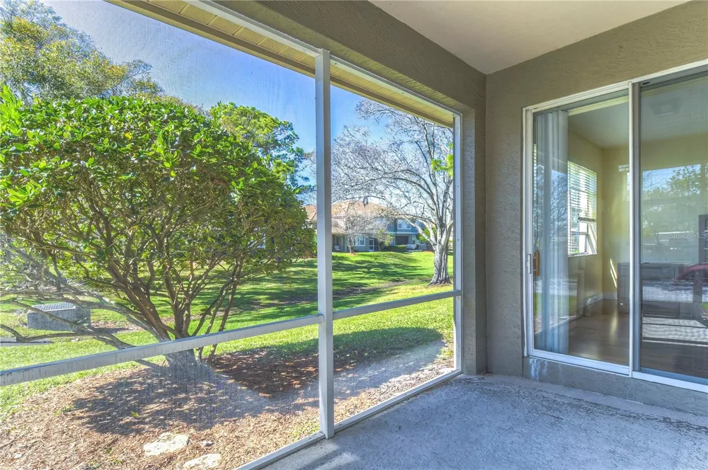 3292 COVERED BRIDGE DRIVE E Dunedin, FL 34698