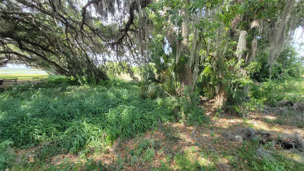 NEPTUNE ROAD Kissimmee, FL 34744