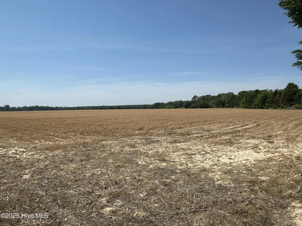 101 Shore Drive Merry Hill, NC 27957