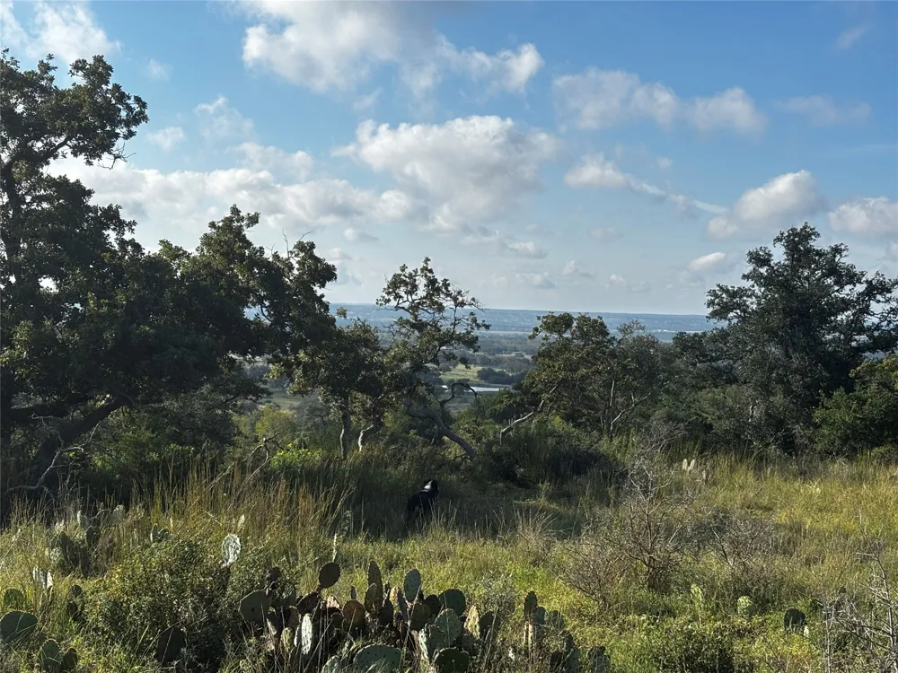 8 , Calle Del Sol Drive Fredericksburg, TX 78624