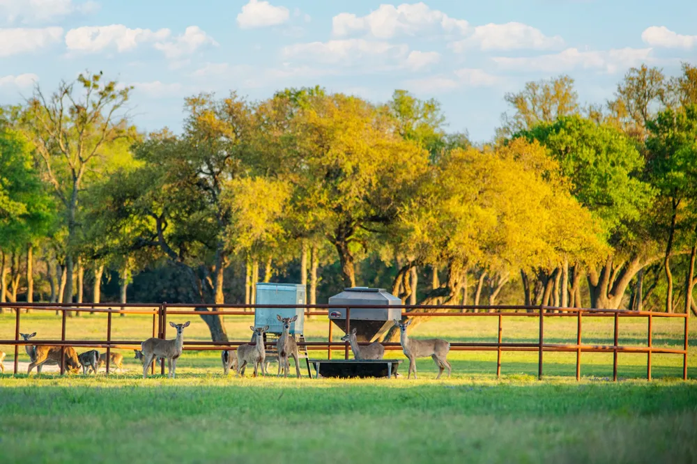 4503 FM 1715 Lampasas, TX 76550