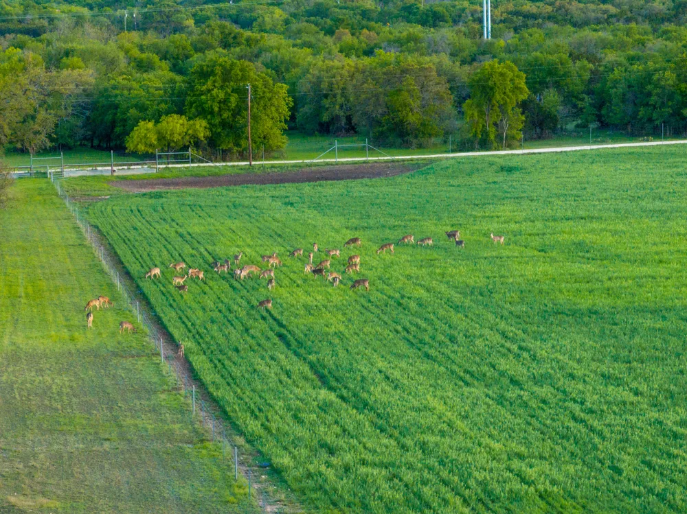 4503 FM 1715 Lampasas, TX 76550