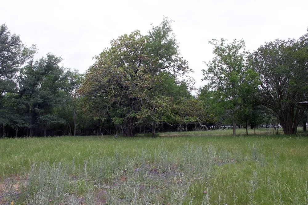 7887 Pettytown Road Red Rock, TX 78662