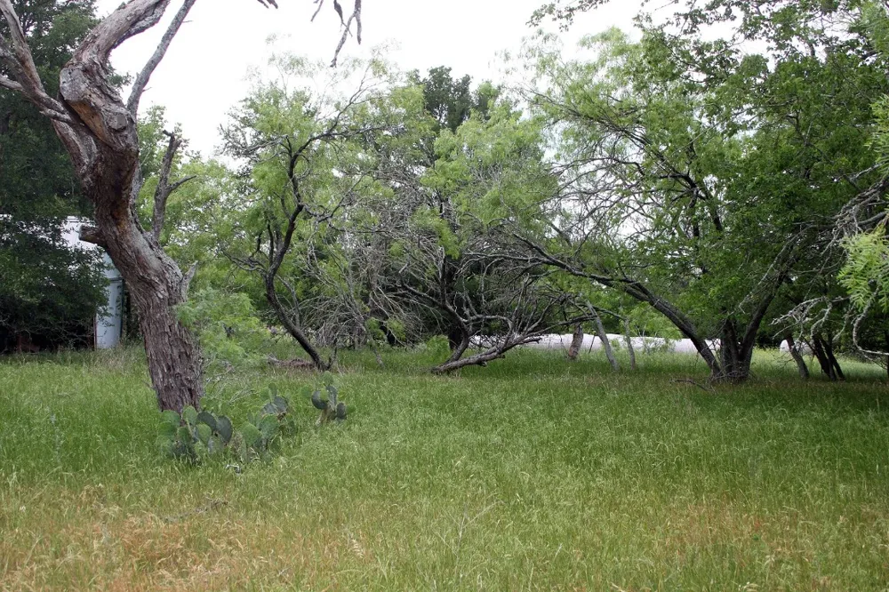 7887 Pettytown Road Red Rock, TX 78662