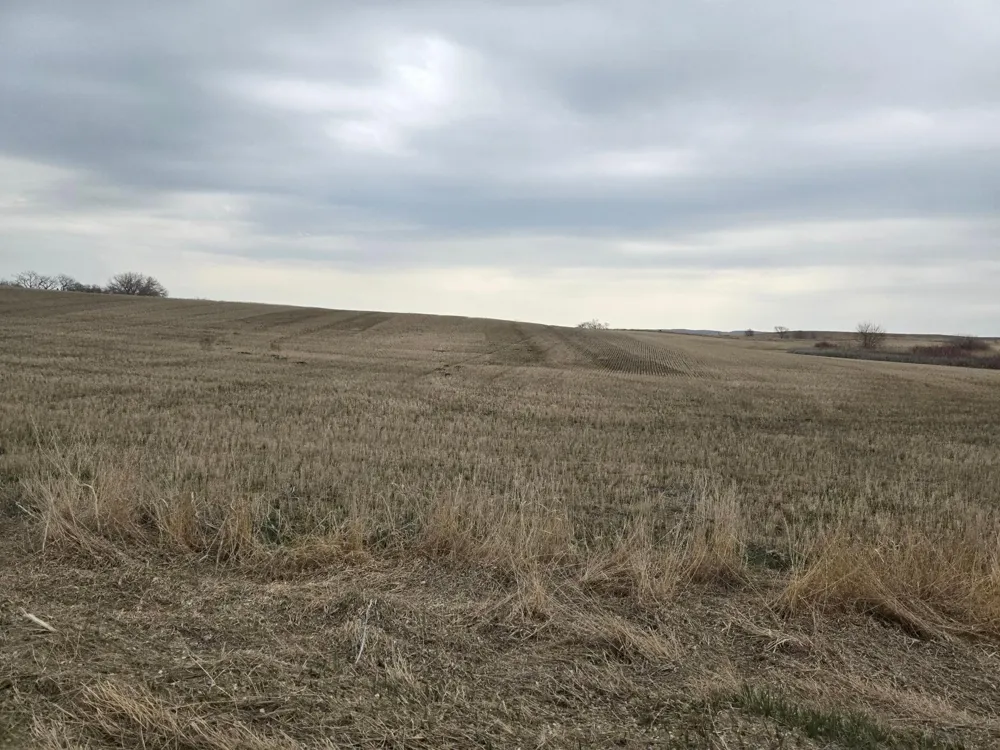 (LOT A) TBD 100th Avenue Barnesville, MN 56514