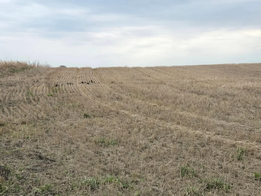 (LOT A) TBD 100th Avenue Barnesville, MN 56514