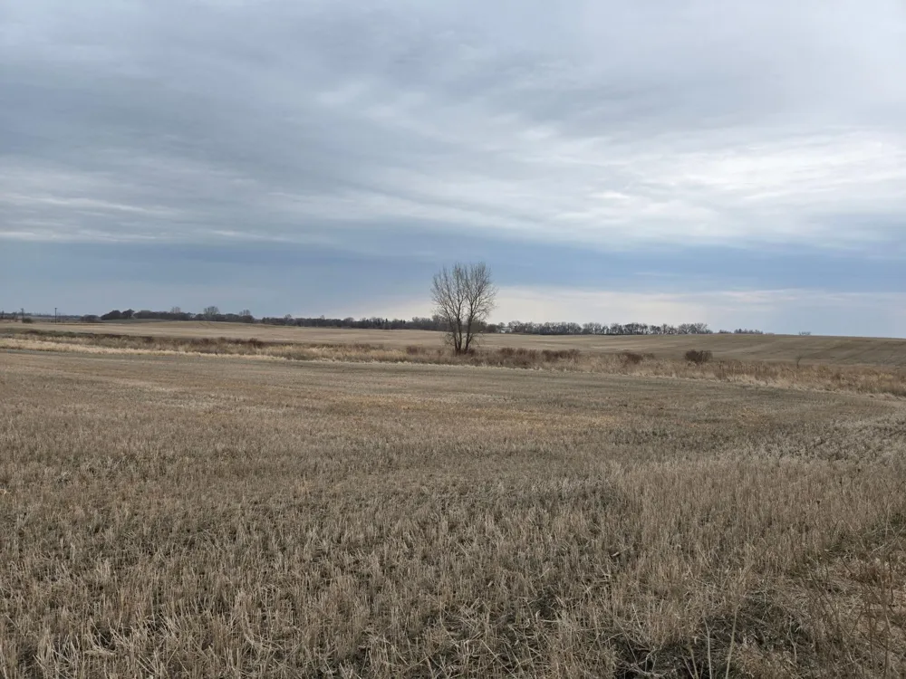 (LOT B) TBD 100th Avenue Barnesville, MN 56514