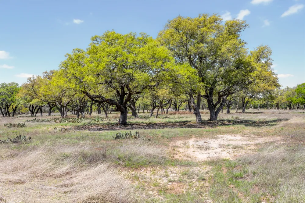 9695 W US 290 Highway Hye, TX 78635