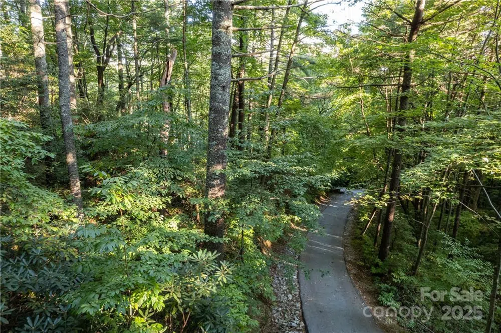 J 29 Cherokee Trace Lake Toxaway, NC 28747