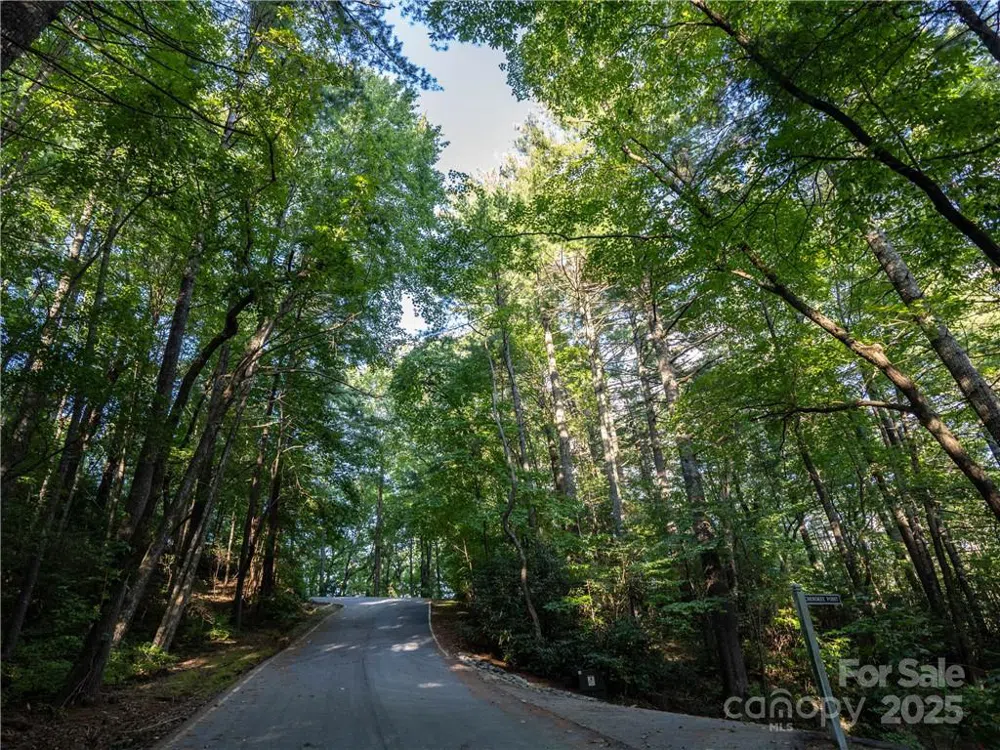 J 29 Cherokee Trace Lake Toxaway, NC 28747
