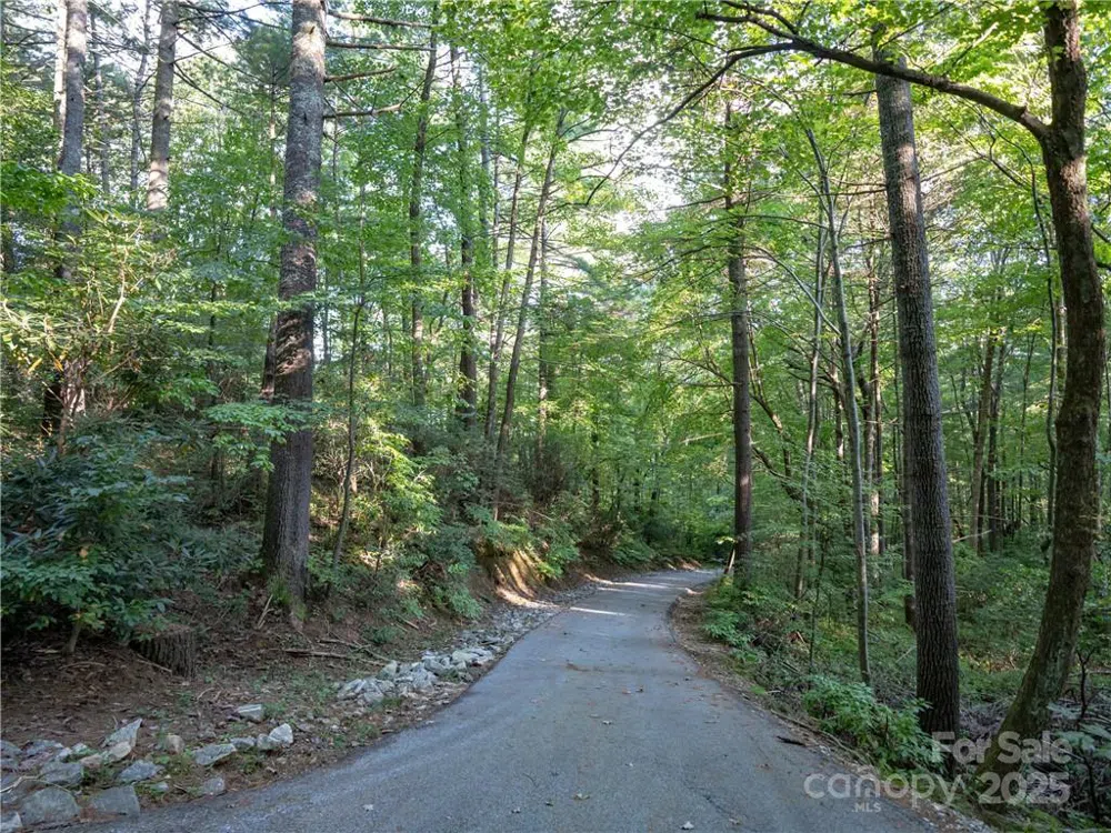 J 29 Cherokee Trace Lake Toxaway, NC 28747