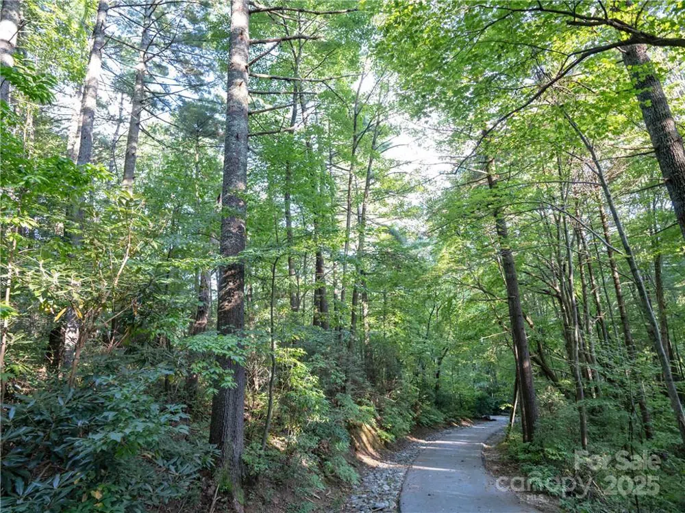 J 29 Cherokee Trace Lake Toxaway, NC 28747