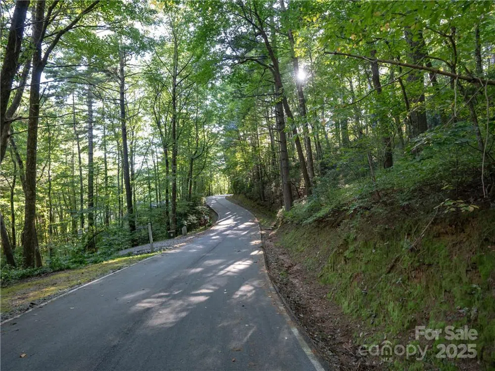 J 29 Cherokee Trace Lake Toxaway, NC 28747