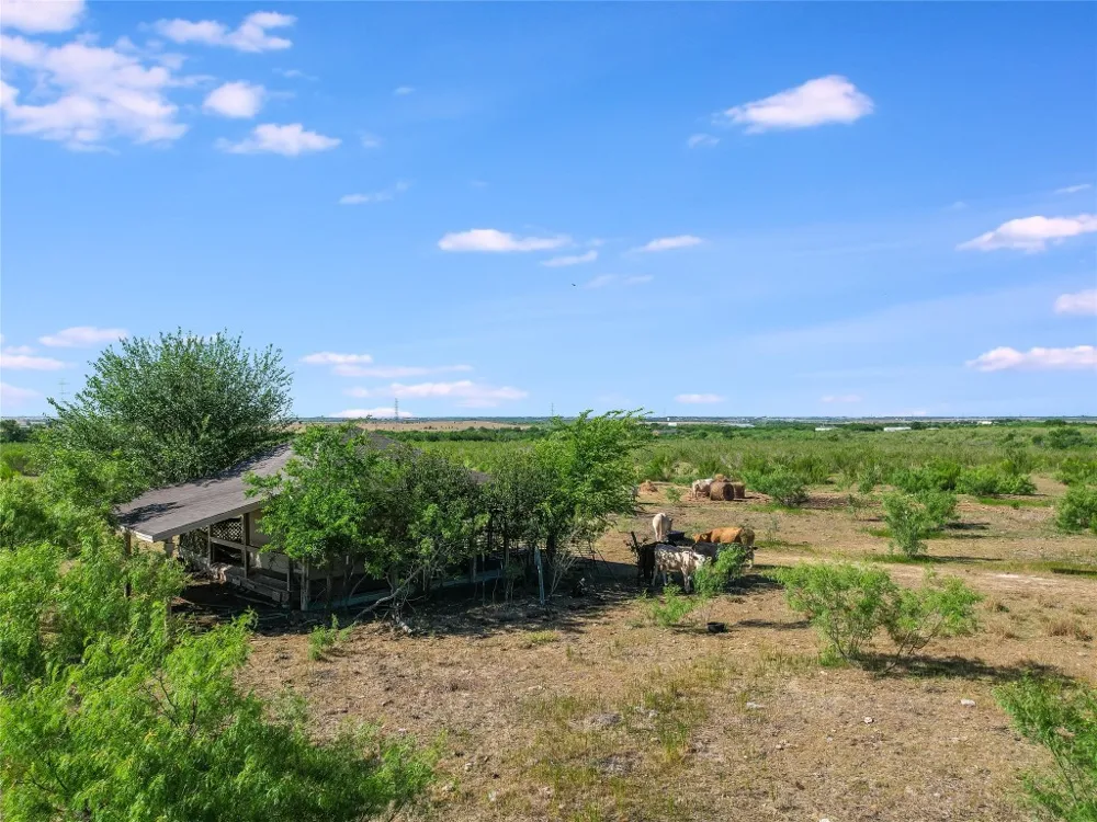 550 Schubert Lane Kyle, TX 78640
