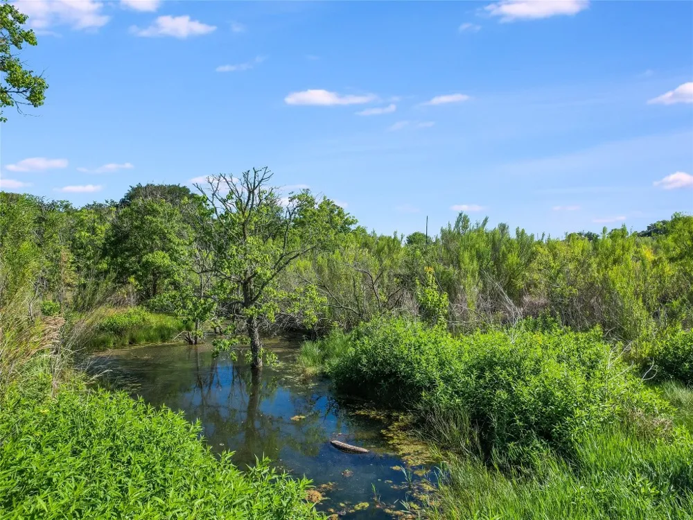 550 Schubert Lane Kyle, TX 78640