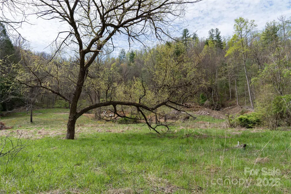 1408 Hamburg Road Mars Hill, NC 28754