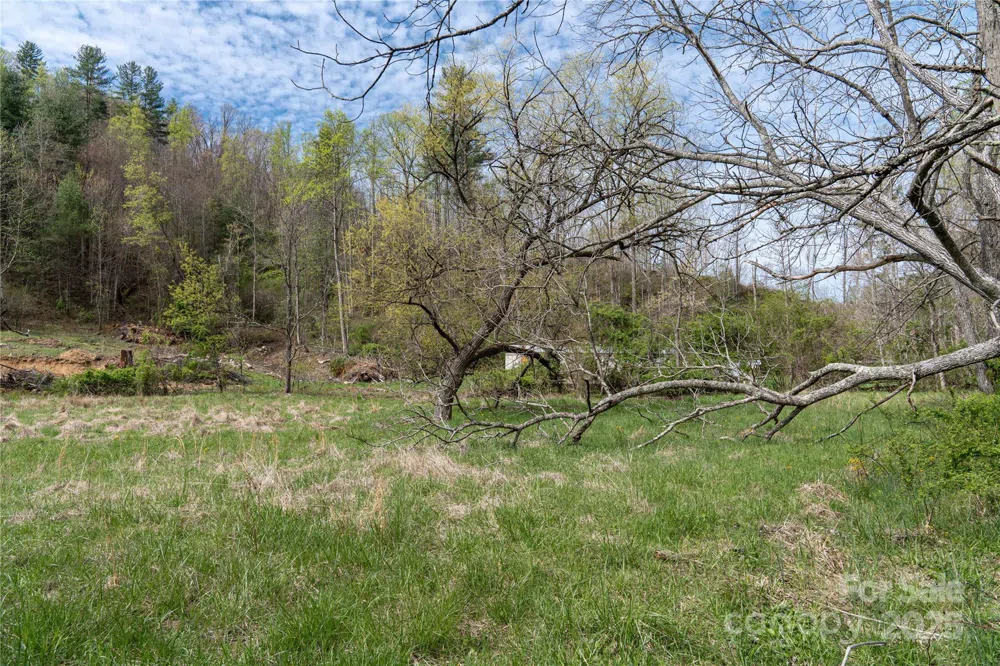 1408 Hamburg Road Mars Hill, NC 28754