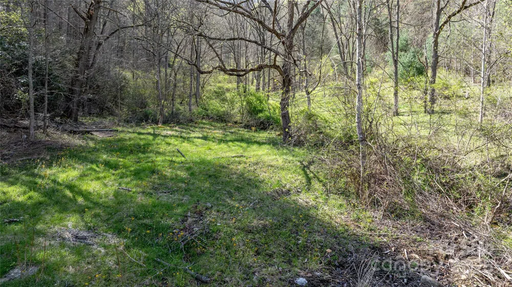 1408 Hamburg Road Mars Hill, NC 28754