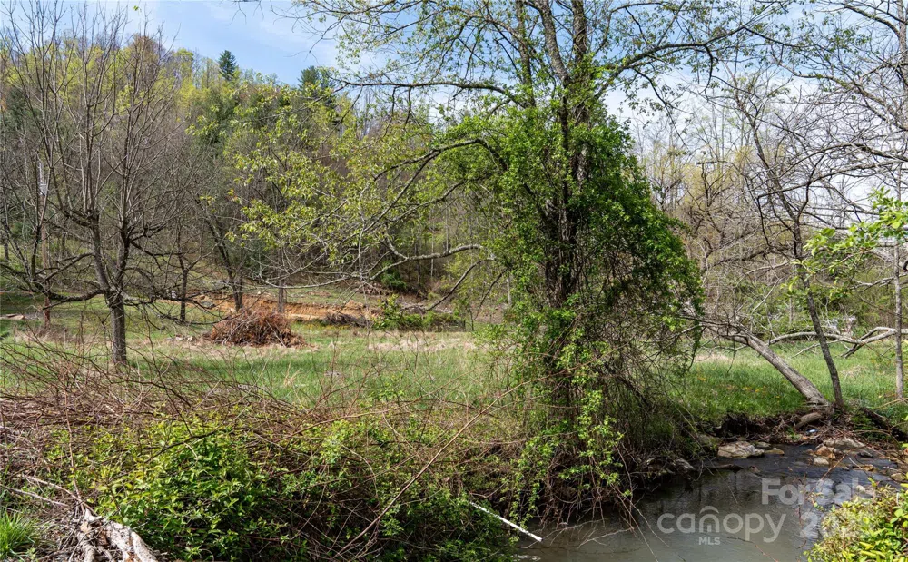 1408 Hamburg Road Mars Hill, NC 28754