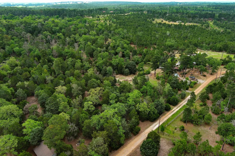 125 Turkey Trot Road Smithville, TX 78957
