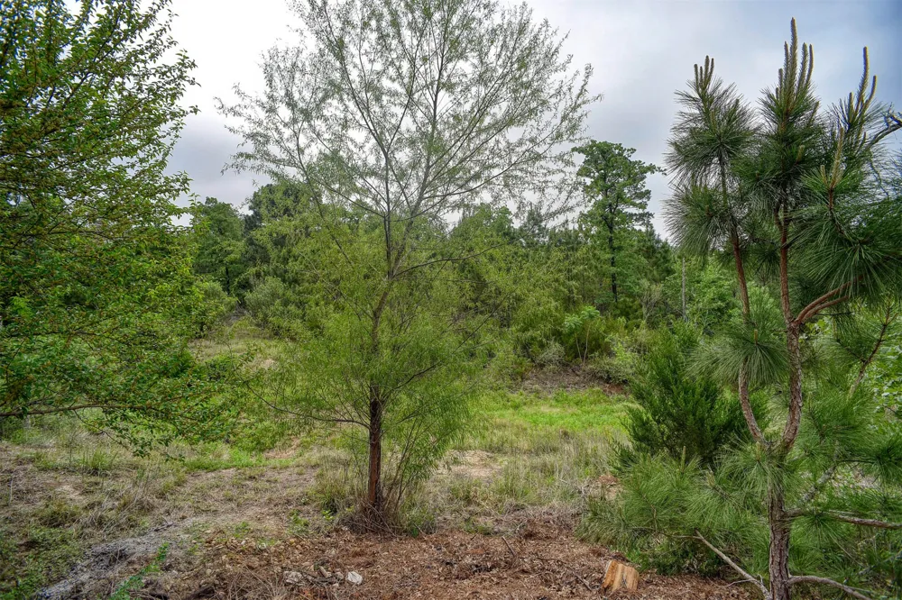 125 Turkey Trot Road Smithville, TX 78957