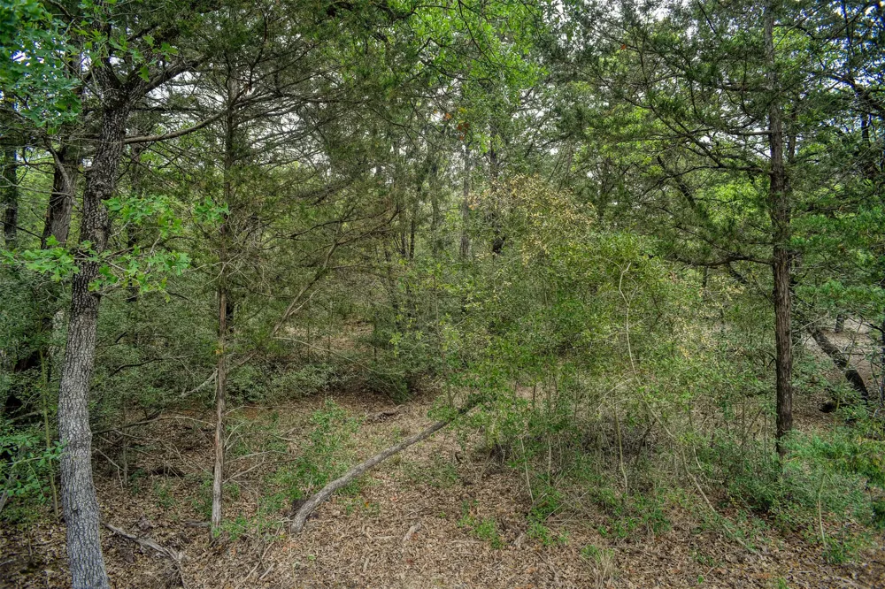 125 Turkey Trot Road Smithville, TX 78957