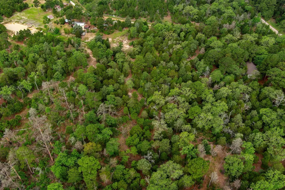 125 Turkey Trot Road Smithville, TX 78957