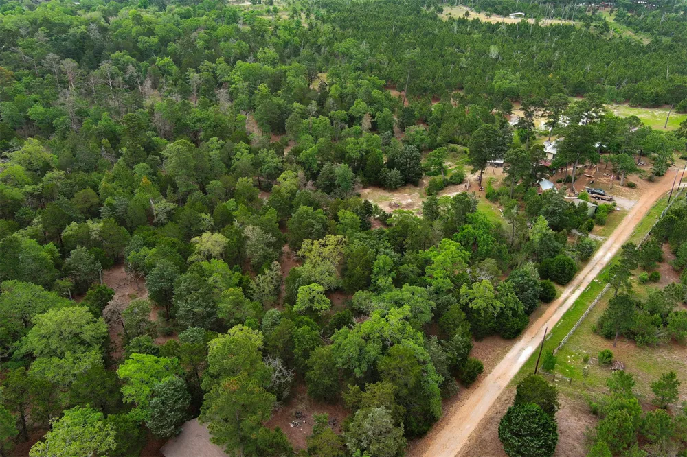 125 Turkey Trot Road Smithville, TX 78957