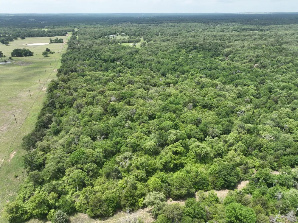 555 Private Road 3428 Milano, TX 76558