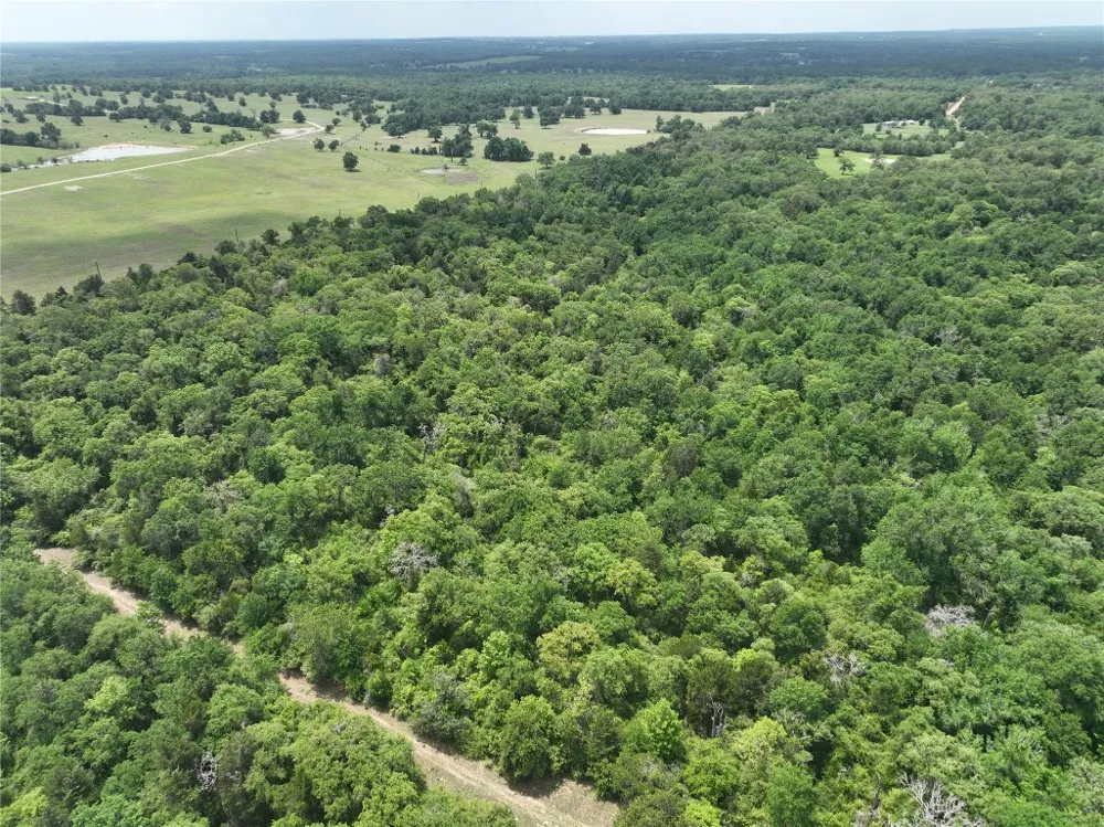 555 Private Road 3428 Milano, TX 76558