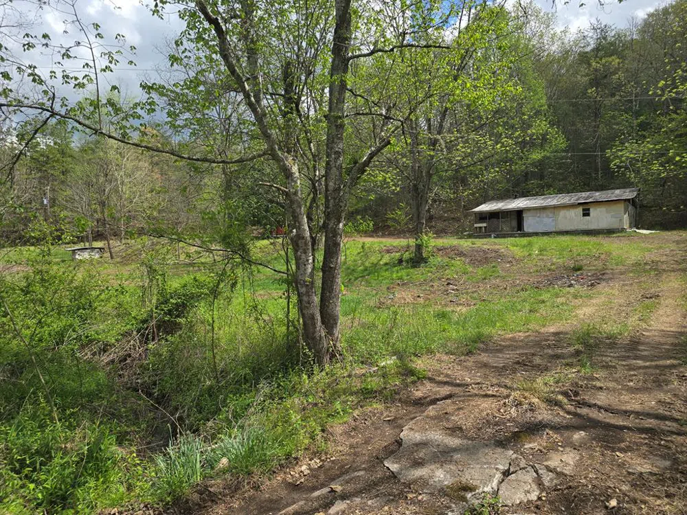 385 Elrod Circle Turtletown, TN 37391