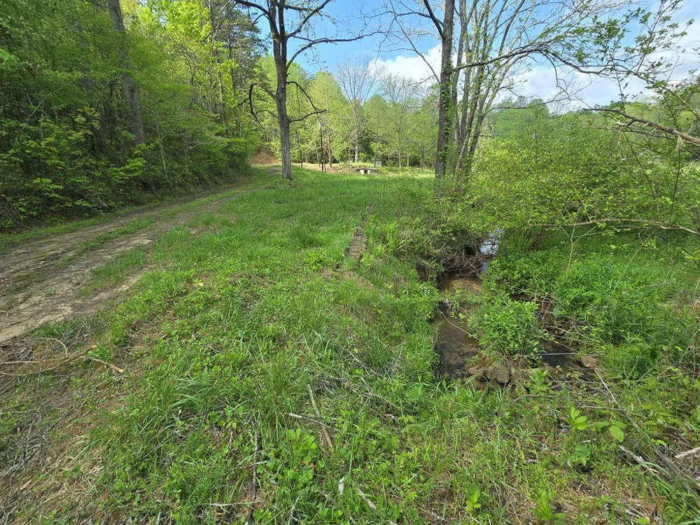 385 Elrod Circle Turtletown, TN 37391
