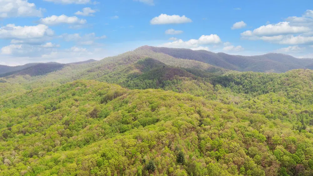 385 Elrod Circle Turtletown, TN 37391
