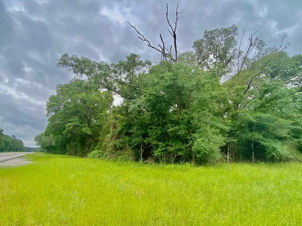 S State Highway 19 Elkhart, TX 75839