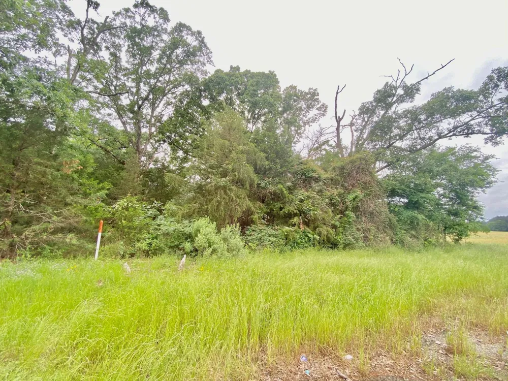 S State Highway 19 Elkhart, TX 75839