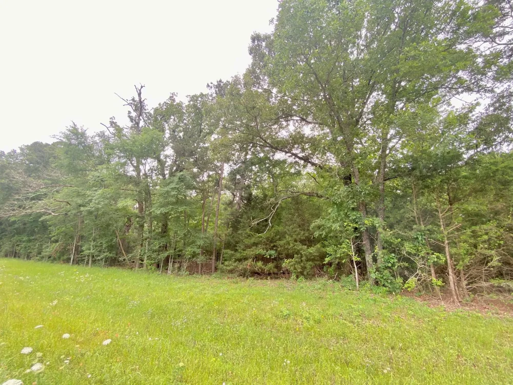 S State Highway 19 Elkhart, TX 75839
