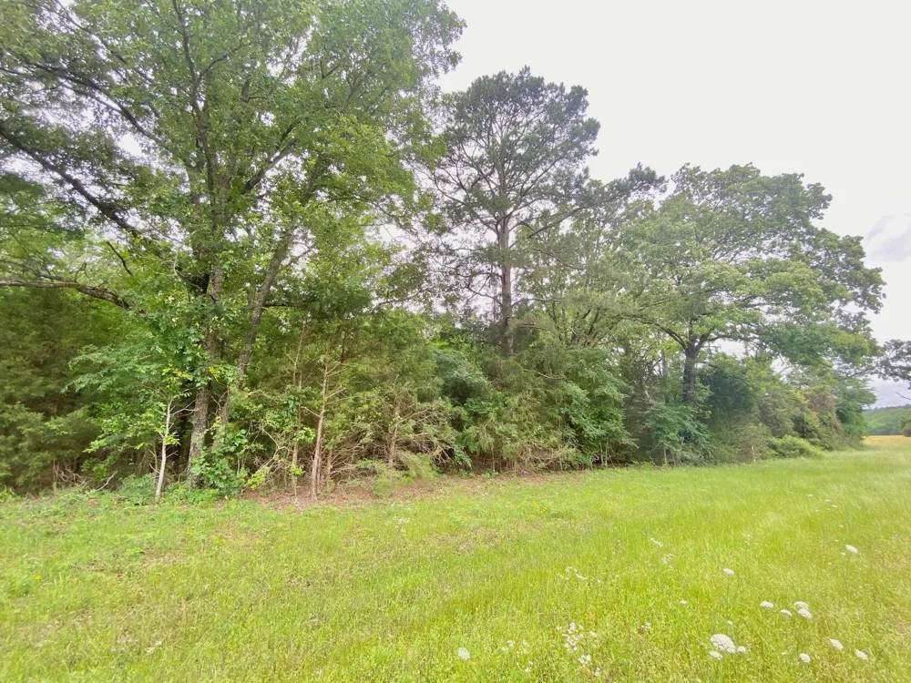 S State Highway 19 Elkhart, TX 75839