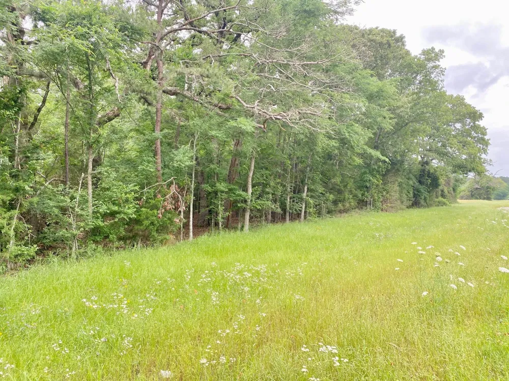 S State Highway 19 Elkhart, TX 75839