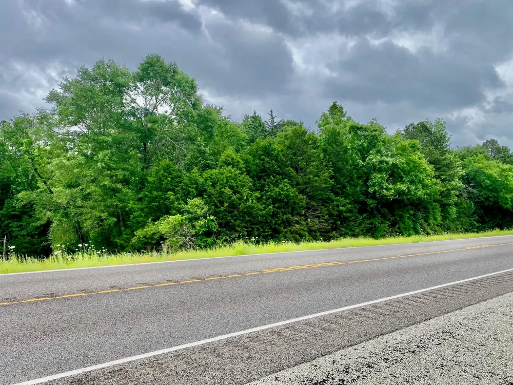 S State Highway 19 Elkhart, TX 75839