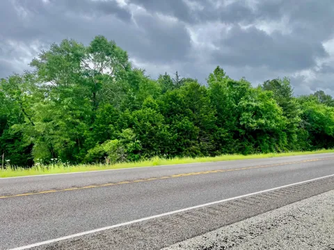 S State Highway 19